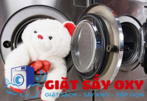 Dịch vụ giặt thú bông