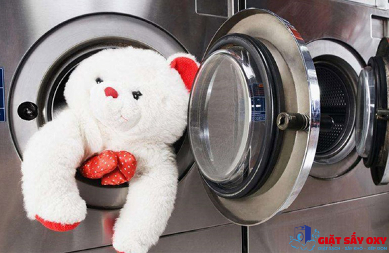 Dịch vụ giặt thú bông