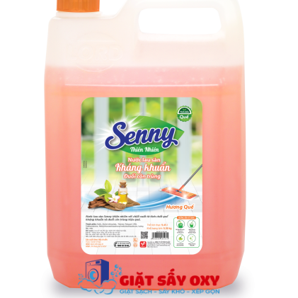 NLS Senny huong que 9,36kg 2023